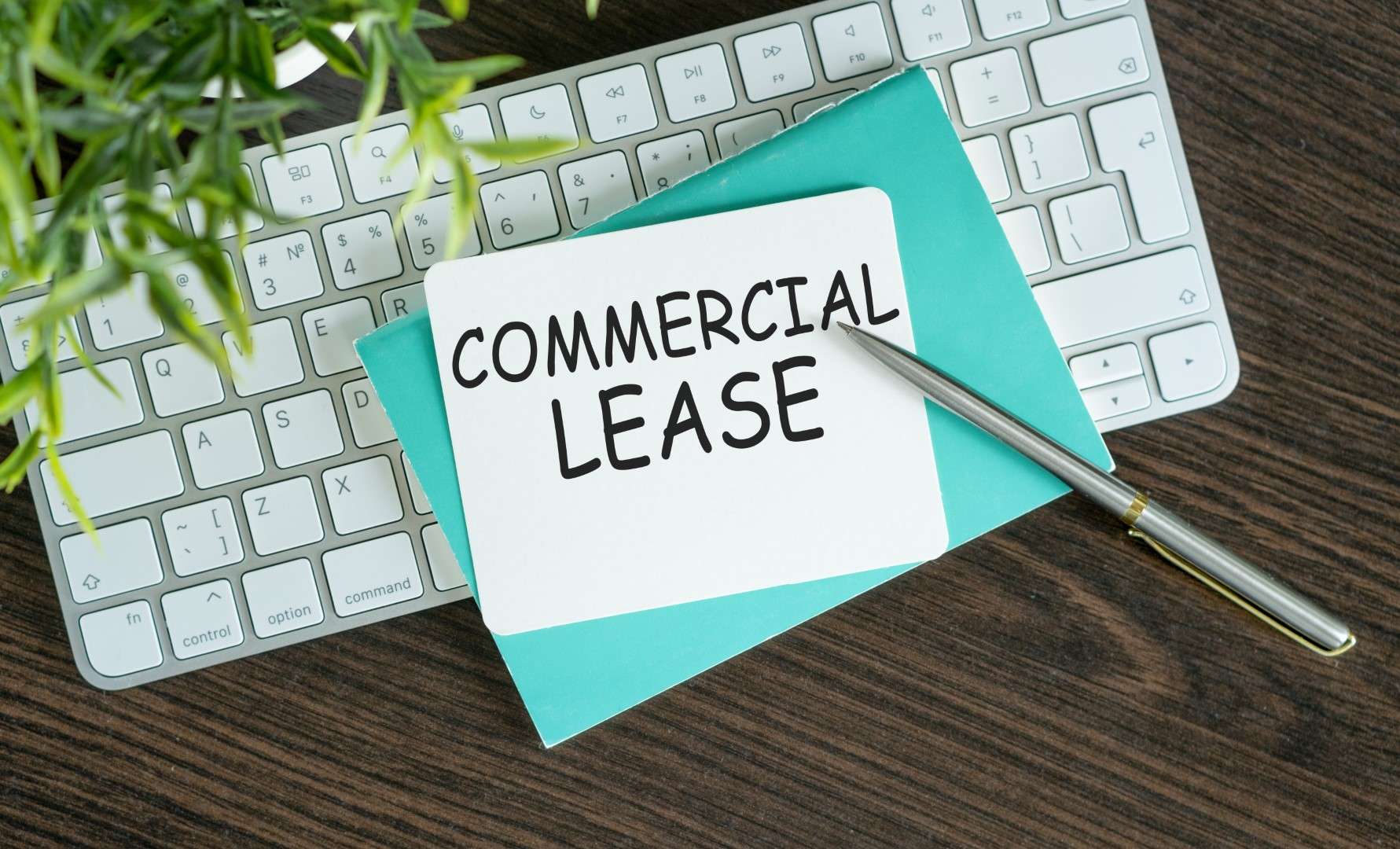 Featured image for Navigating Leases in Shopping Centers and Malls