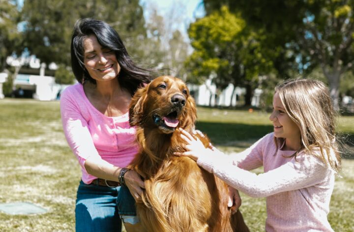 Content image for Pet-Friendly Rentals: Finding a Home for You and Your Furry Friend