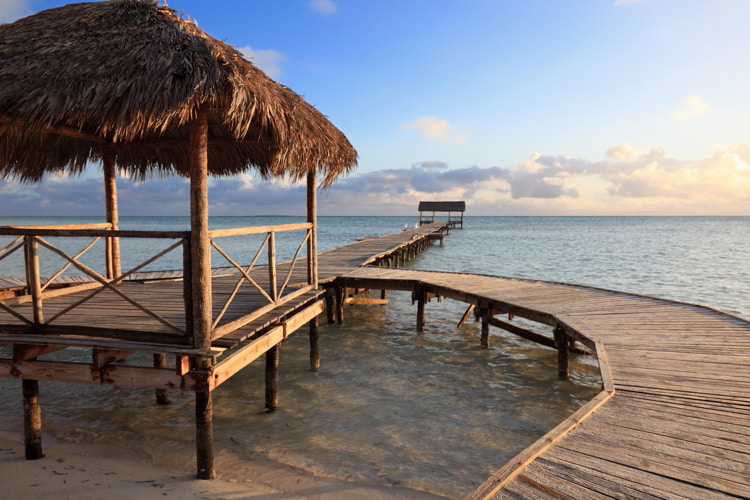 Content image for Tips for Buying a Foreclosure Property: Risks and Rewards